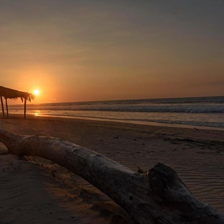 Wallac Bungalows Canoas De Punta Sal Dış mekan fotoğraf