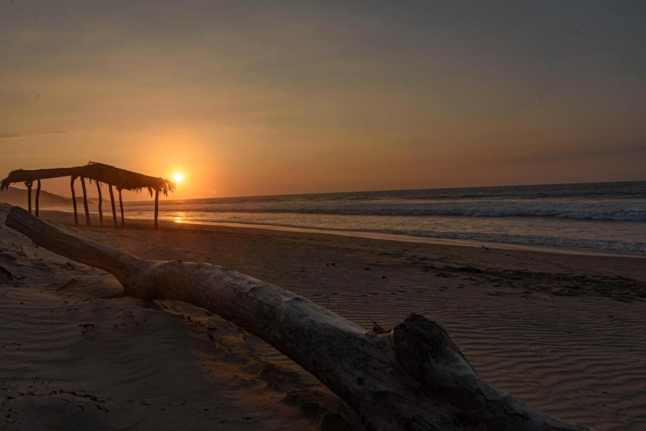Wallac Bungalows Canoas De Punta Sal Dış mekan fotoğraf