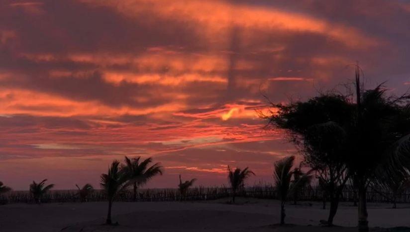 Wallac Bungalows Canoas De Punta Sal Dış mekan fotoğraf