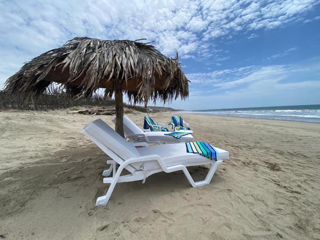 Wallac Bungalows Canoas De Punta Sal Dış mekan fotoğraf